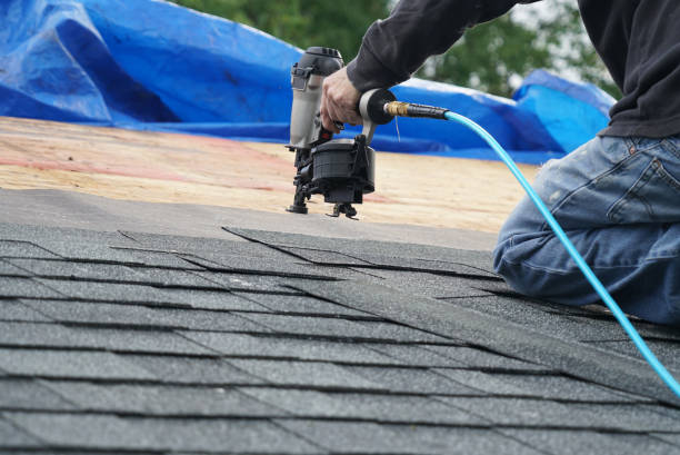Professional Roofing Contractor in Timberlane, IL